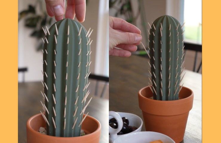 cactus portastuzzicadenti