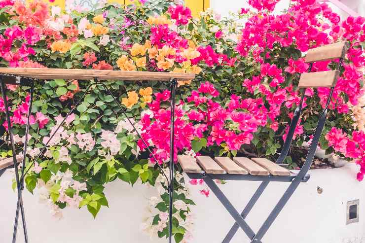 Come rendere colorato il tuo balcone in primavera