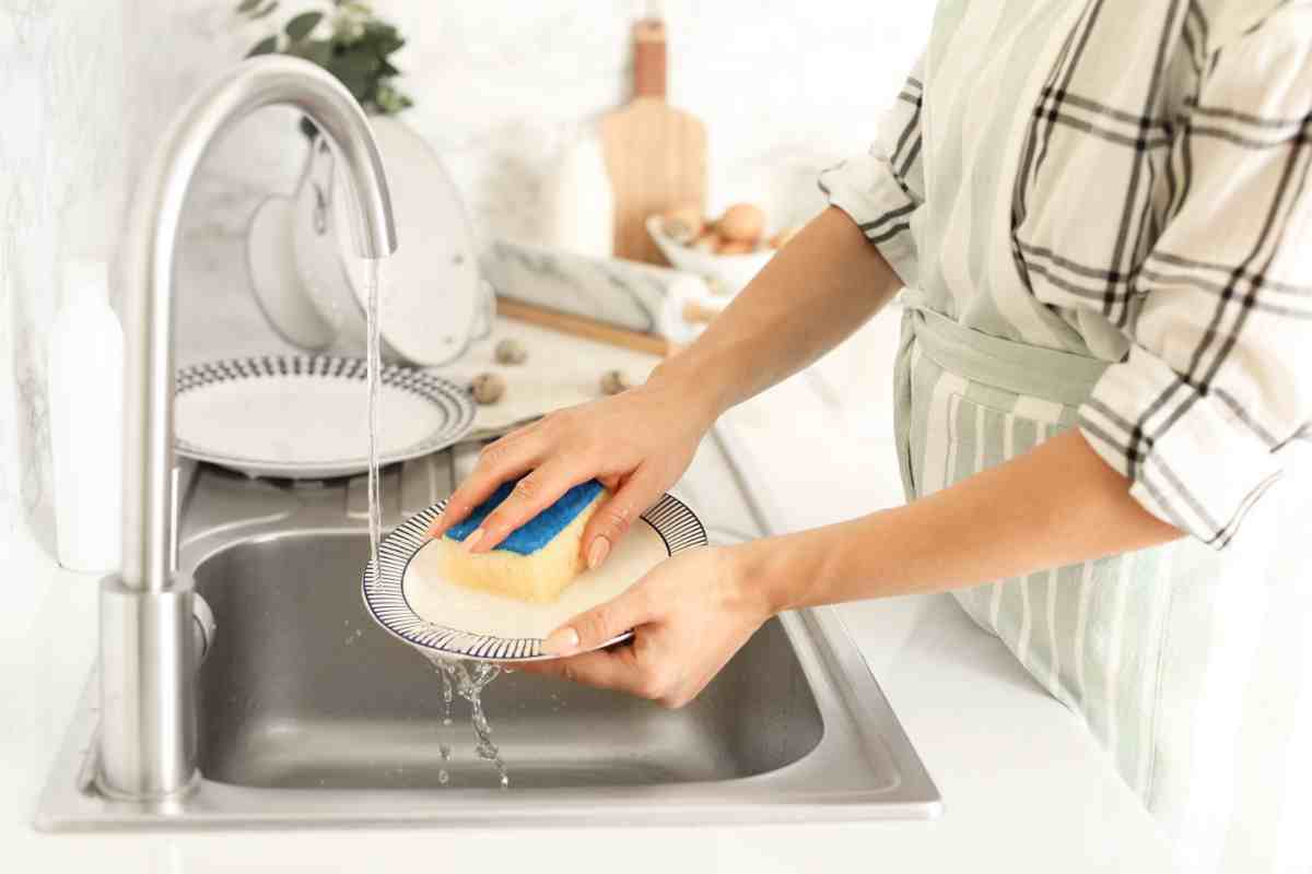 le spugne da cucina hanno più batteri del water