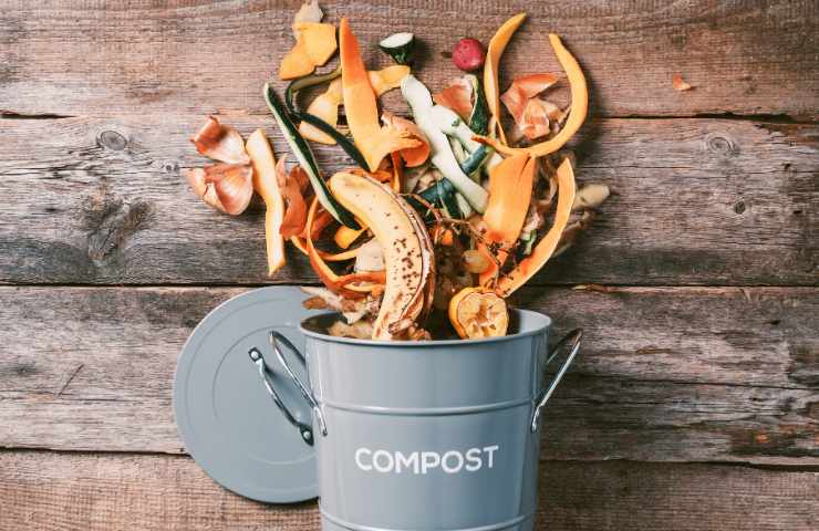 Compostaggio rifiuti