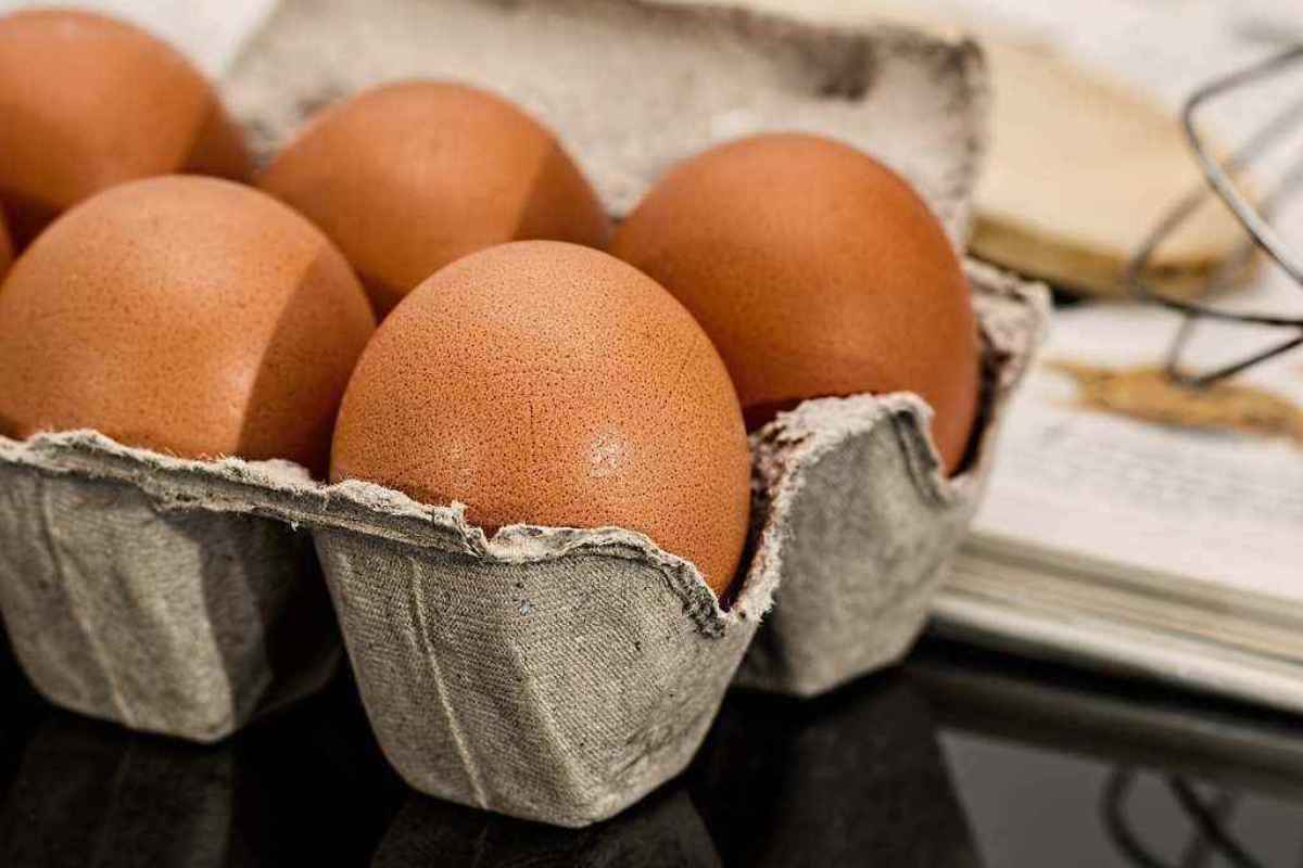 Confezione uova