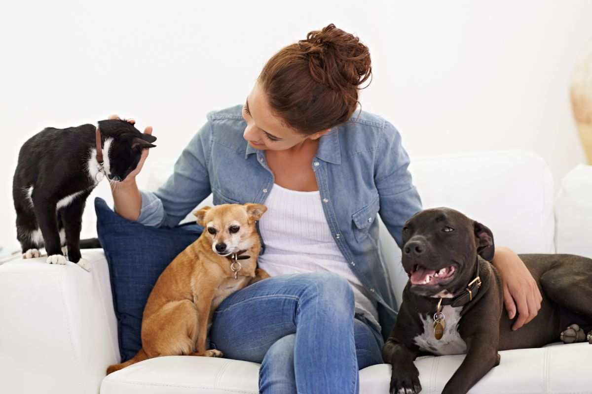 Donna accarezza i suoi cani e il suo gatto