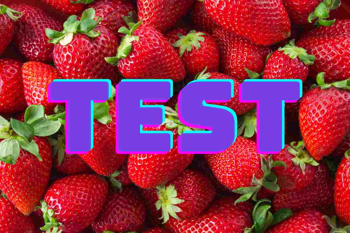 test fragole